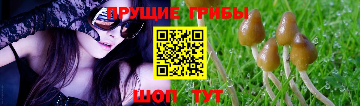 Псилоцибиновые грибы Psilocybine cubensis  Вход с VPN  Псилоцибиновые грибы Magic Shrooms  Елабуга 