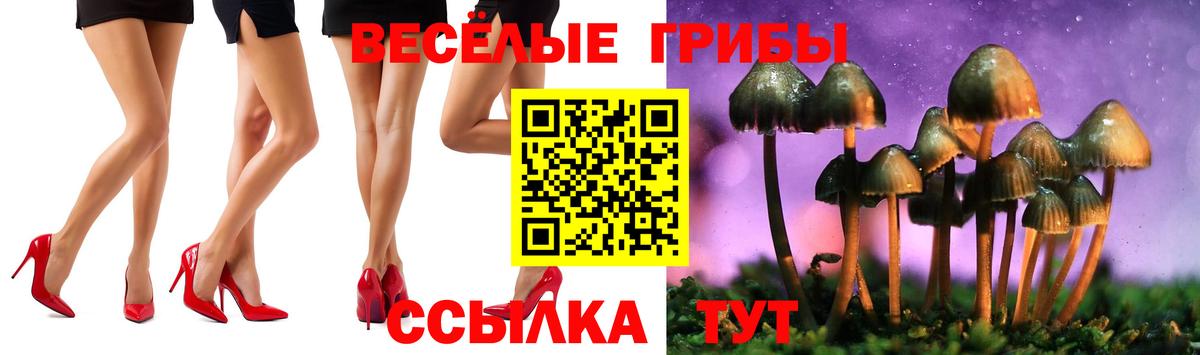Галлюциногенные грибы ЛСД Елабуга